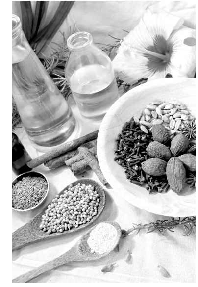 Ayurveda Spices & Oils